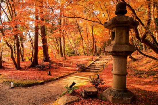 Ten Gorgeous Pictures of Japanese Autumn Foliage in Japan | tsunagu Japan
