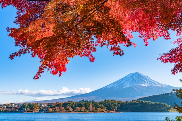 Ten Gorgeous Pictures Of Japanese Autumn Foliage In Japan Tsunagu Japan