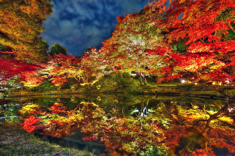 Autumn Foliage Japan 115