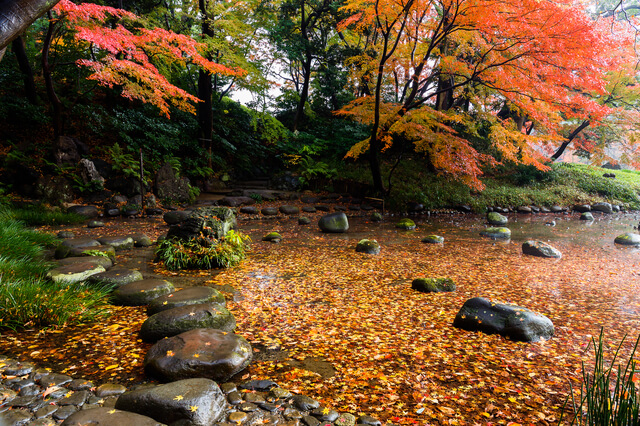 Best Parks in Tokyo: 8 Beautiful Oases to Escape the Big City (2023 ...