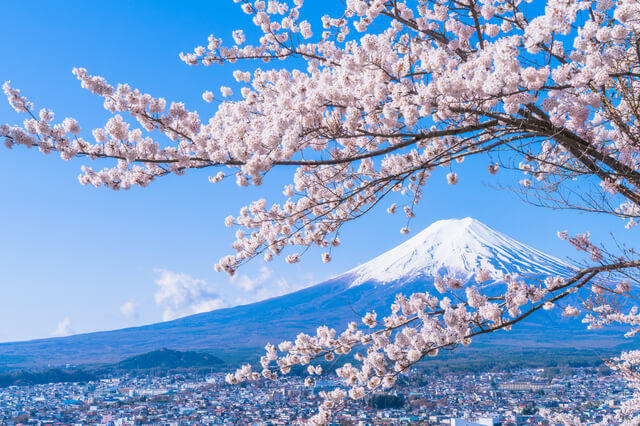 日本自由行】在地人推薦的50個日本景點！日本旅遊全攻略| tsunagu Japan 繫日本