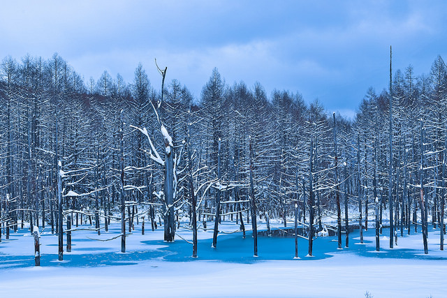 Winter in Hokkaido | Day 5 (Part 1): Okurayama Ski Jump 